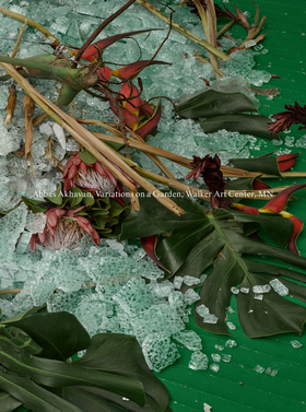 Abbas Akhavan: Variations on a Garden