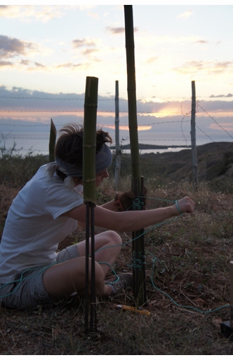 Abiding Architecture III: 10 days, 26 People, 4 Projects, 11 Languages and 1 site in Titanyen, Haiti: Us and Them