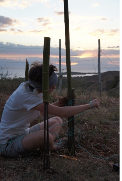 Abiding Architecture III: 10 days, 26 People, 4 Projects, 11 Languages and 1 site in Titanyen, Haiti: Us and Them