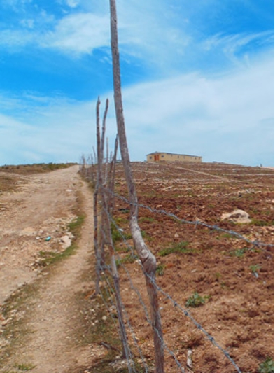 Abiding Architecture: Marie Aquilino on Planting Titanyen