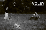 Adolfo Kaplan-Gasman: Voley