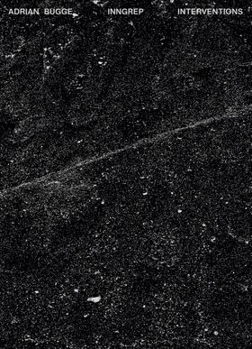 Adrian Bugge: Interventions