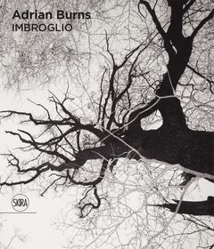 Adrian Burns: Imbroglio