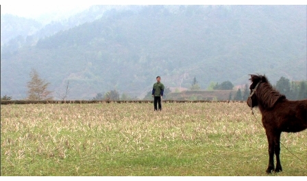 Ai Weiwei: Fairytale