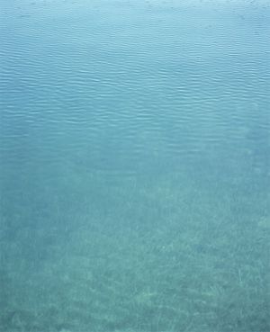 Akiko Kimura: i