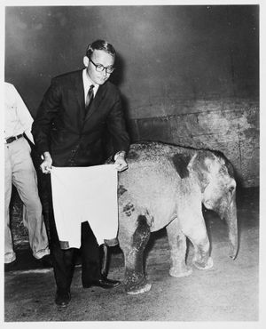 Alan & Jeanne Abel: Inside SINA