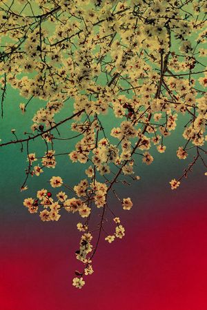 Albarr�n Cabrera: Windows to the Unexpected