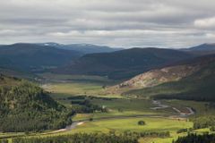 Alec Finlay: Gathering