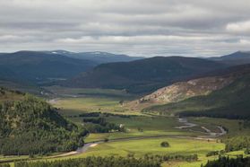 Alec Finlay: Gathering