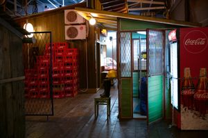 Aleksandar Denic: Exposition Coloniale