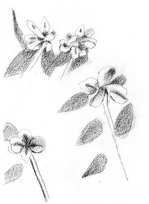 Alex Katz & Joe Brainard: Flowers Journals