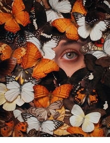 Alex Stoddard: Insex