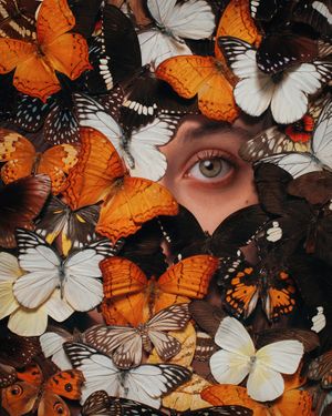 Alex Stoddard: Insex