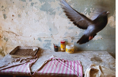 Alex Webb and Rebecca Norris Webb on Street Photography and the Poetic Image