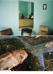 Alex Webb and Rebecca Norris Webb: Slant Rhymes