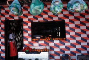 Alex Webb: The Suffering of Light