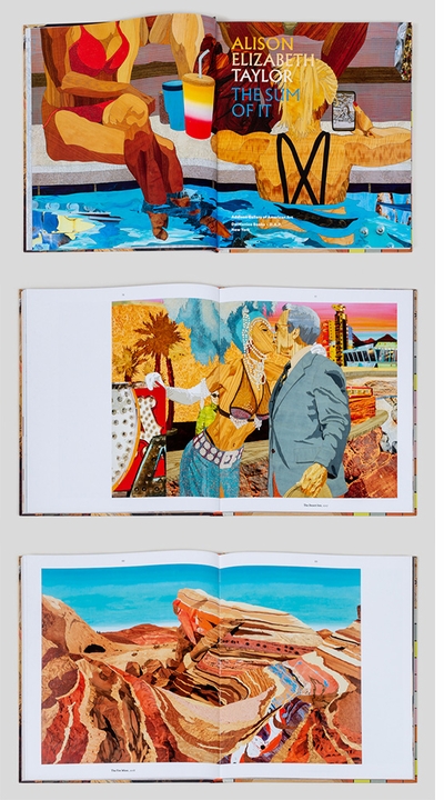'Alison Elizabeth Taylor: The Sum of It' is new from DelMonico Books & Addison Gallery
