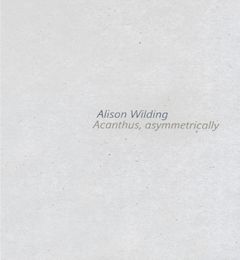 Alison Wilding: Acanthus Asymmetrically