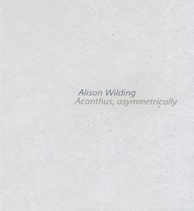 Alison Wilding: Acanthus Asymmetrically