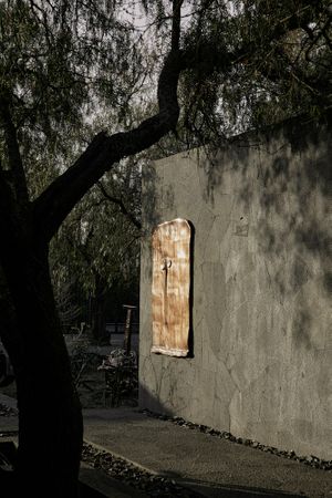 Alma Allen: Nunca Solo