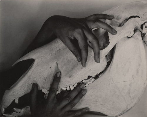 Featured image, Alfred Stieglitz