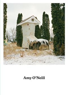 Amy O'Neill: Suburban Imagination