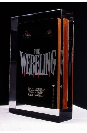 An Interview with David Robbins