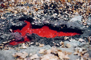 Ana Mendieta: Back to the Source
