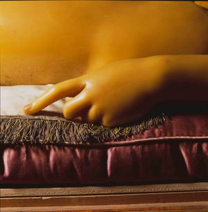 Anatomical Waxes