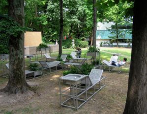 Andrea Blum: Biota
