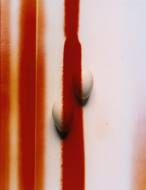Andrea Ferrari: By Means of the Sun