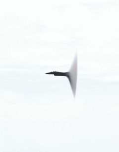 Andrea Galvani
