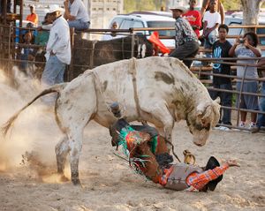 Andrea Robbins & Max Becher: Black Cowboys