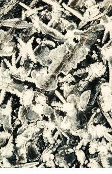 Andreas Zst: Pursuit of Wonders