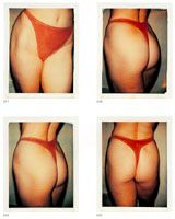 Andy Warhol: Ladies & Gentleman, Sex Parts, Torsos, Polaroids