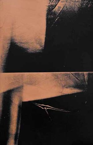 Andy Warhol: Paintings from the 1970s