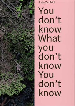 Anita Zumbhl: You Dont Know What You Dont Know You Dont Know