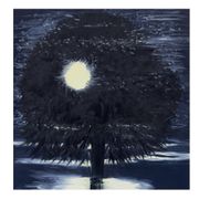 Ann Craven: Night