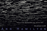 The Picture Is Still　Ann Hamilton Ann Hamilton The picture is still, Ann Hamilton, | eBay