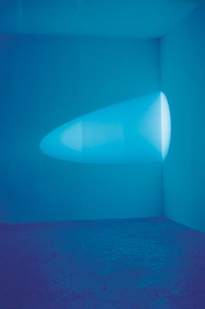 Ann Veronica Janssens