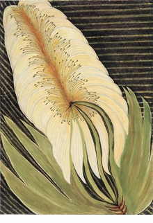 Anna Zemnkov