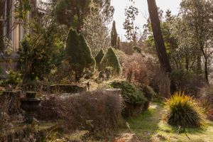 Another Green World: Linn Botanic Gardens