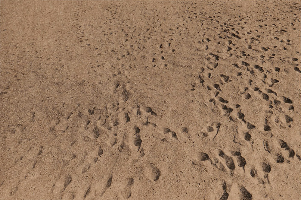 Anthony Hernandez Beach Pictures, 1969-70 ARTBOOK | D.A.P. 2016