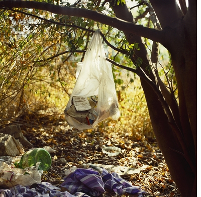 Anthony Hernandez, Landscape for the Homeless
