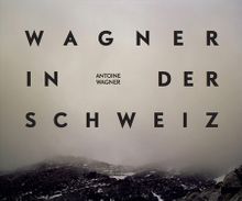 Antoine Wagner: Wagner in der Schweiz