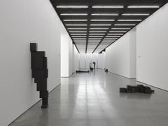 Antony Gormley: Model