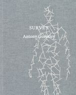 Antony Gormley: Survey