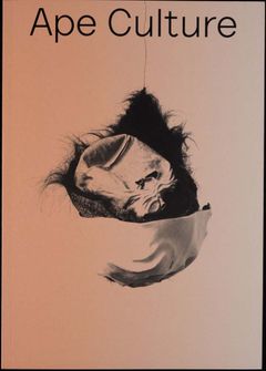 Ape Culture