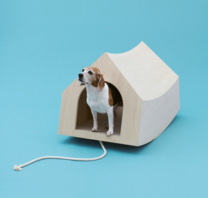 Architecture for Dogs