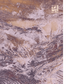 Architecture of Culture